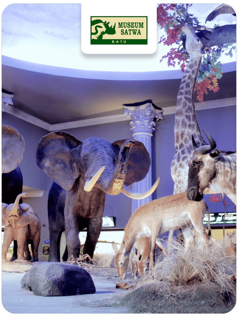Menu Museum Satwa R